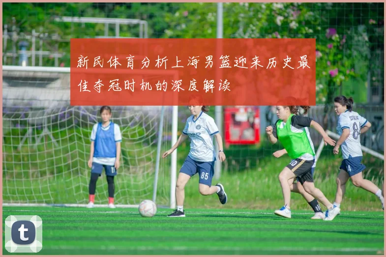 新民体育分析上海男篮迎来历史最佳夺冠时机的深度解读