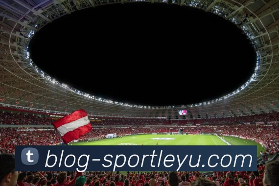 乐鱼体育发展历程