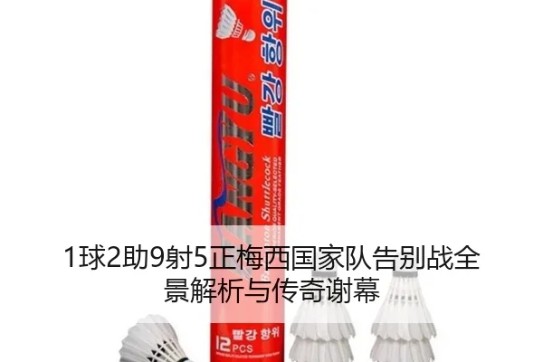 1球2助9射5正梅西国家队告别战全景解析与传奇谢幕 | Leyu